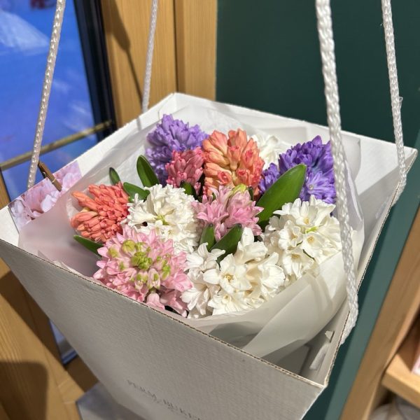 Разноцветные гиацинты