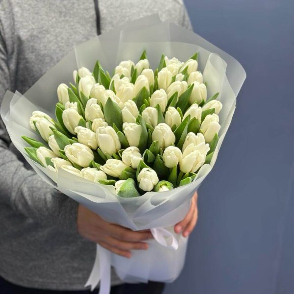 Букет из 51 белого тюльпана