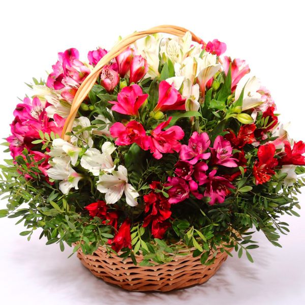 Корзина из альстромерий