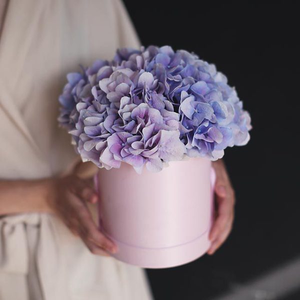 Шляпная коробка Невесомость