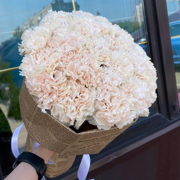 Букет из 25 диантусов