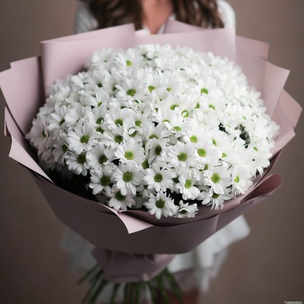 Букет из 25 кустовых хризантем Нежность