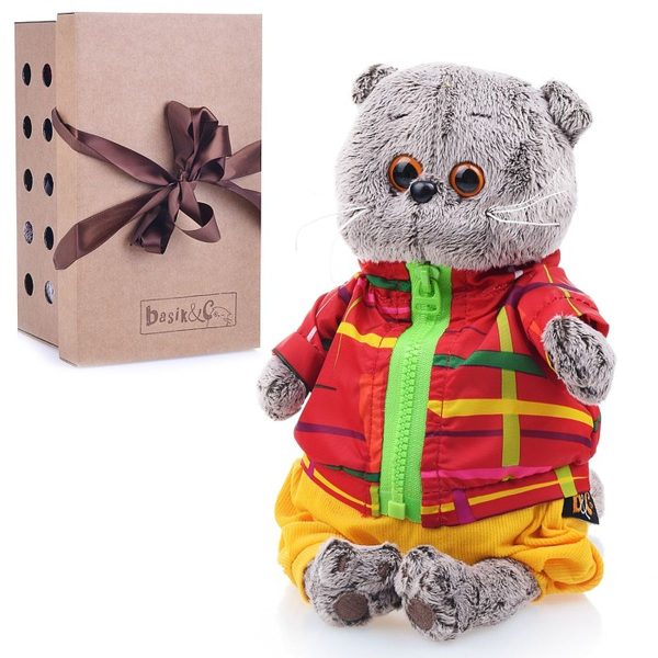 Кот Басик в ветровке