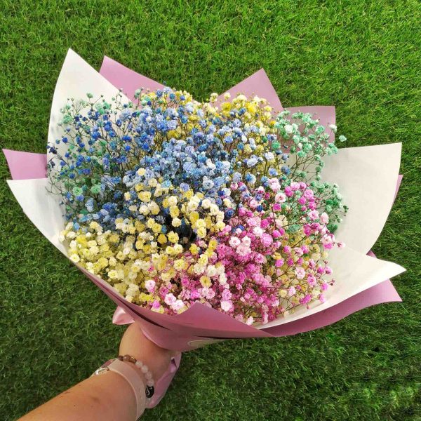 Букет Радужная гипсофила