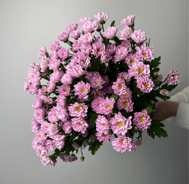 full_84a957028c8f830d80410f434caed9ee Букет из 17 сантини — изображение 1