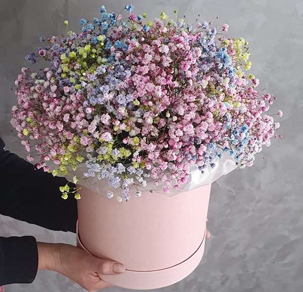 Шляпная коробка из 11 гипсофил