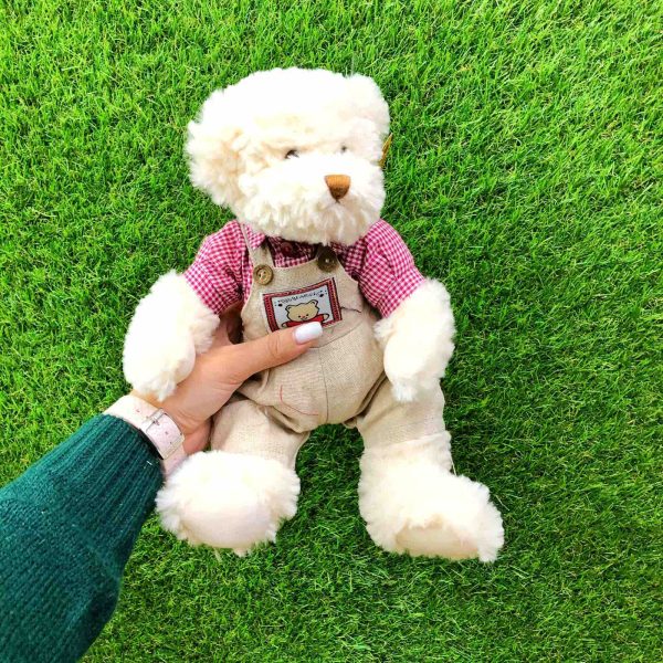 Мягкая игрушка Мишка в одежде