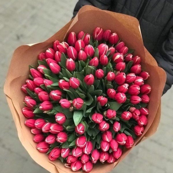 Букет из 101 ярко-розового тюльпана