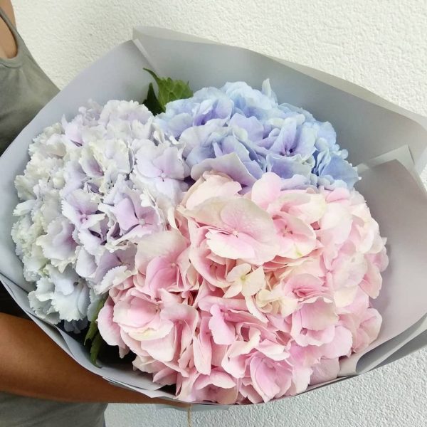 Микс букет из гортензий