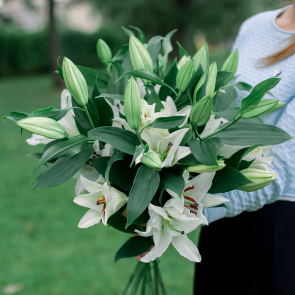Букет из 7 веточек лилии