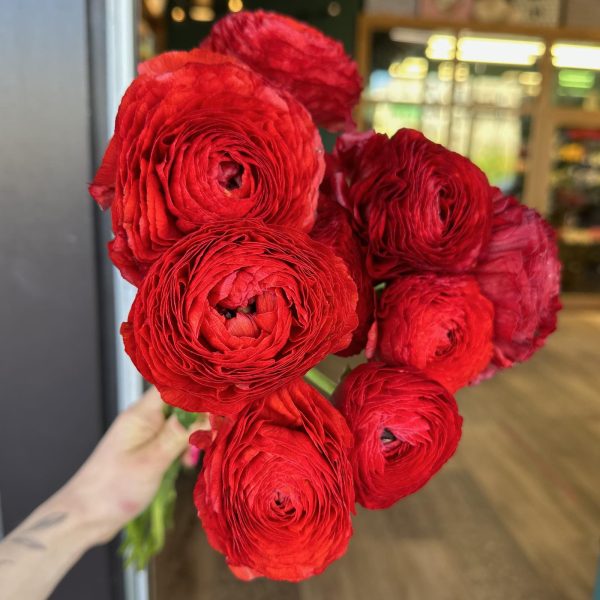 Букет из красных ранункулюсов