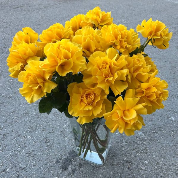 Букет из 15 вывернутых французских роз 60 см