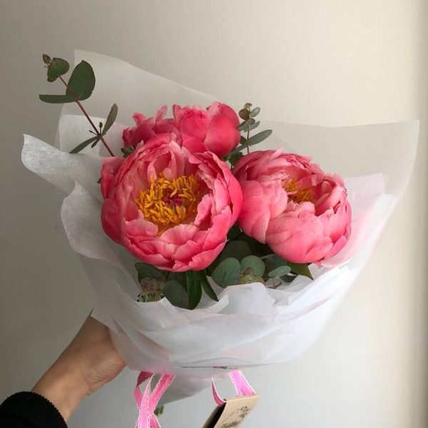 Букет из 3 коралловых пионов
