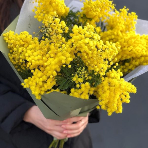Букет Мимоза