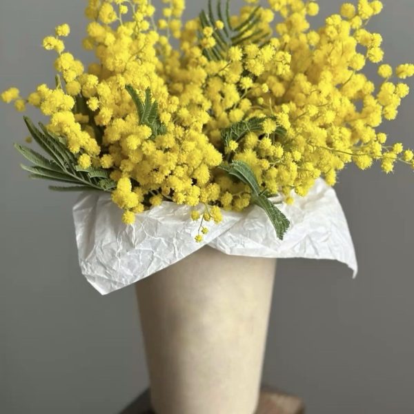 Стаканчик мимозы