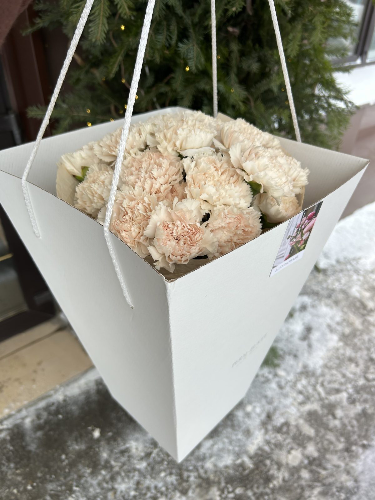 Букет из 25 диантусов — изображение 5