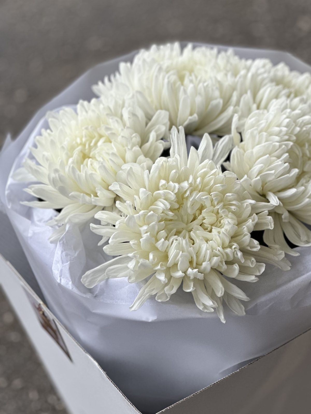 Букет из одиночных хризантем "Облачко" — изображение 2