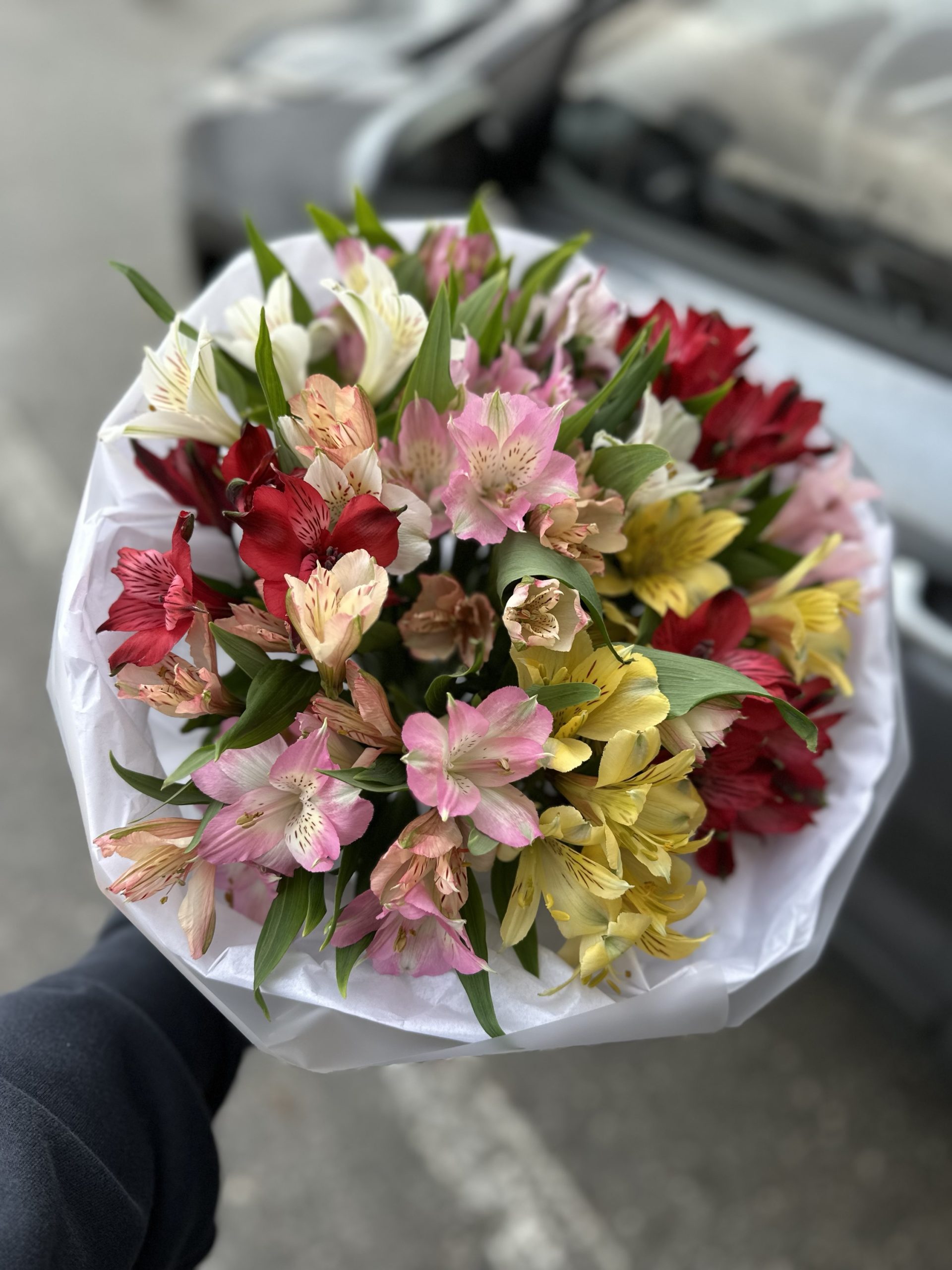 img_9973 Букет из 15 альстромерий — изображение 1