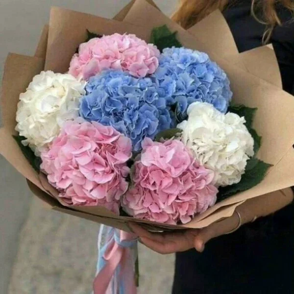 Акция! Букет из 7 гортензий