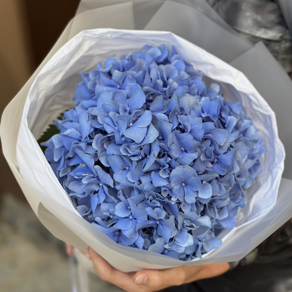 Букет из голубой гортензии