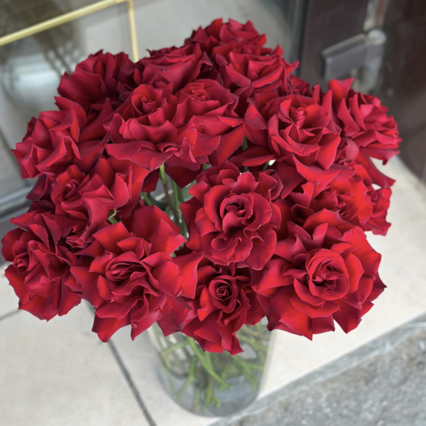 Букет из 15 французских роз