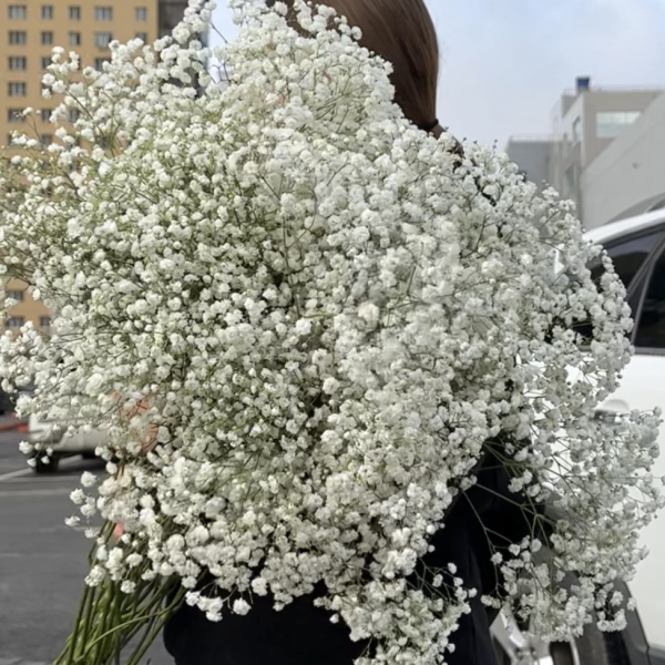 Букет "Утро"