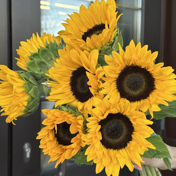 Букет Солнечный лучик