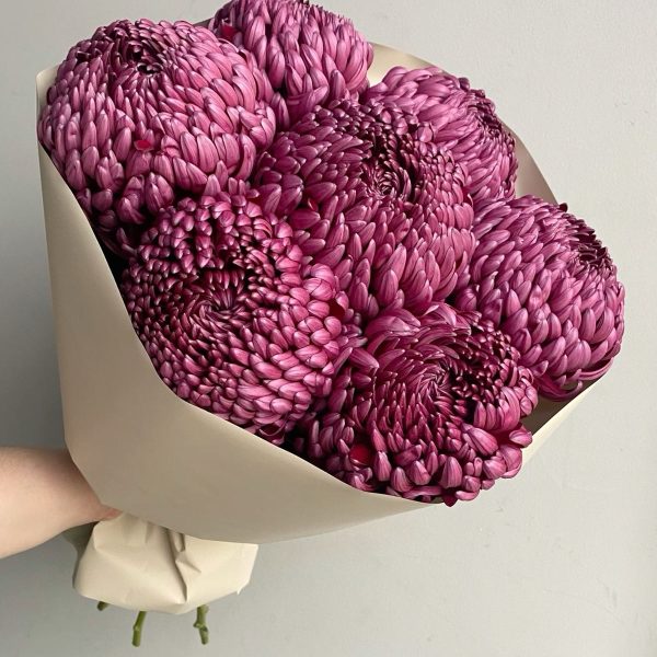 Букет из 7 хризантем Бигуди