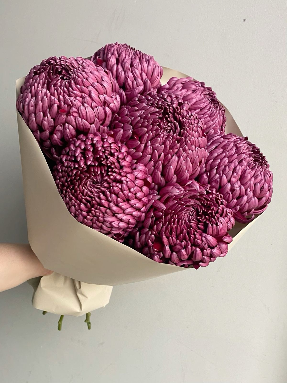 img_7846 Букет из 7 хризантем Бигуди — изображение 1