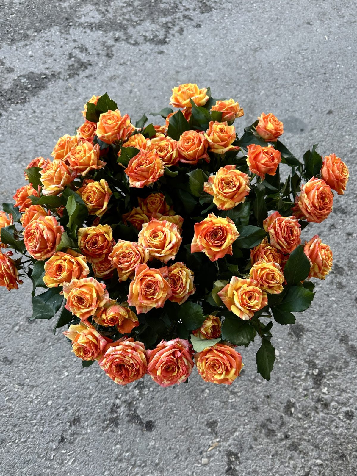 Букет Яркая встреча — изображение 2