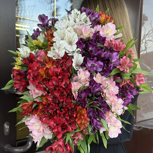 Букет из 51 альстромерии