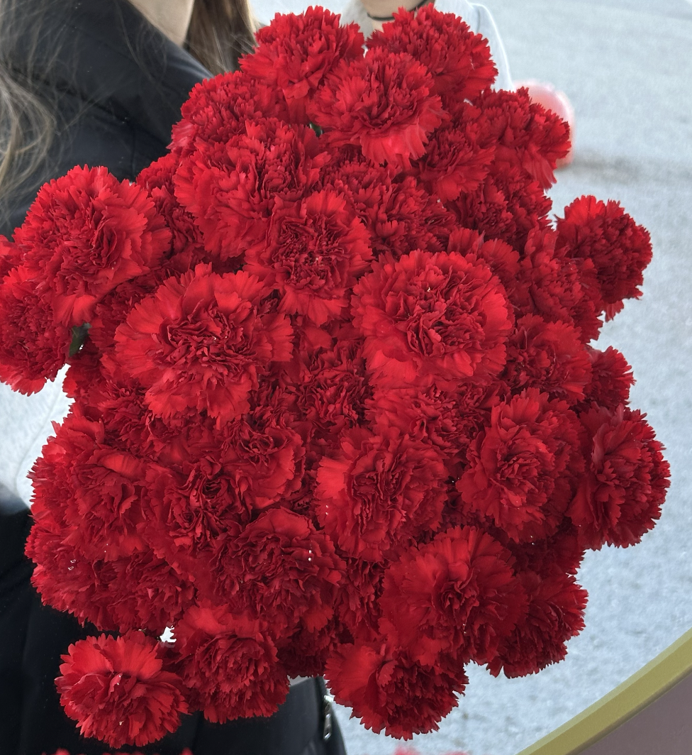 Снимок экрана 2025-10-22 в 00.10.13 Букет из 25 гвоздик — изображение 1