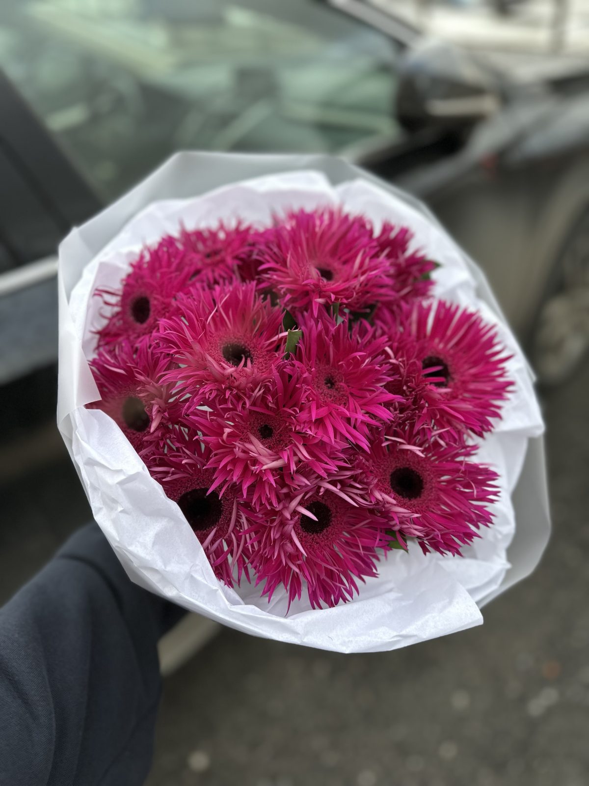 img_0033 Букет из 15 ярких Гербер — изображение 1