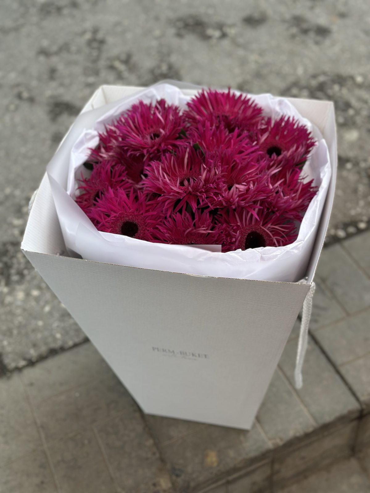 Букет из 15 ярких Гербер — изображение 2