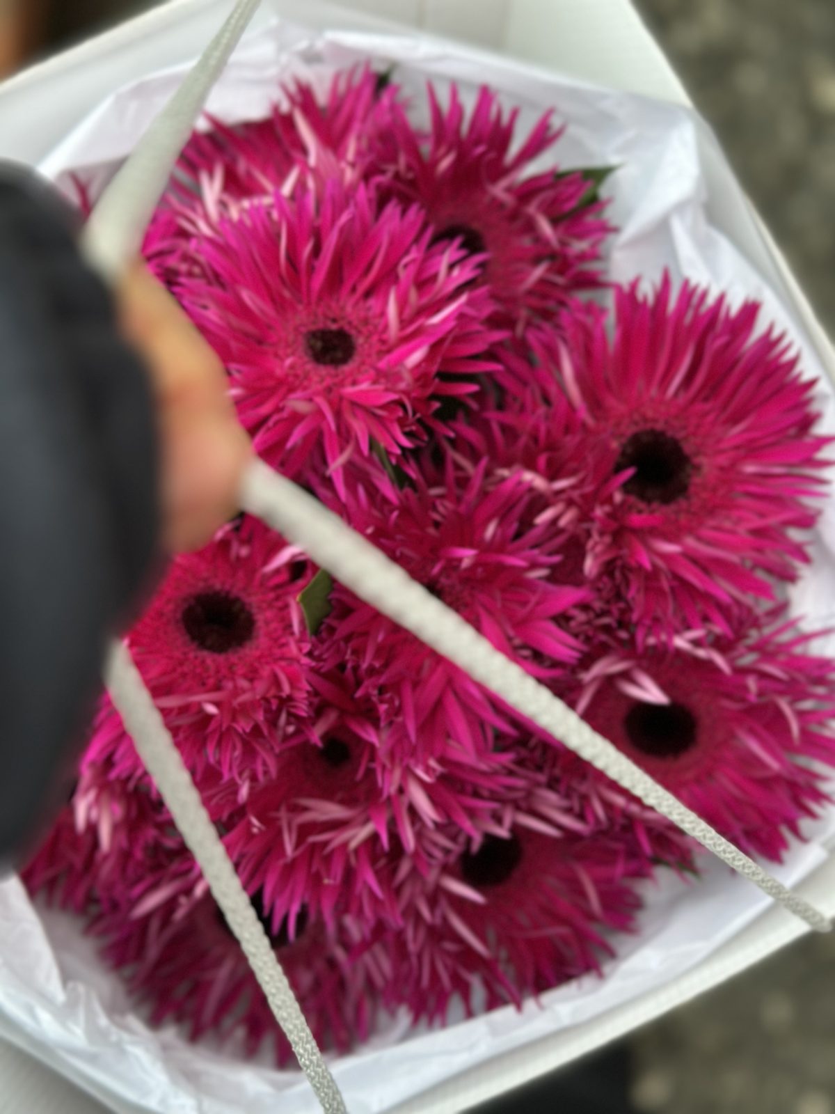 Букет из 15 ярких Гербер — изображение 4