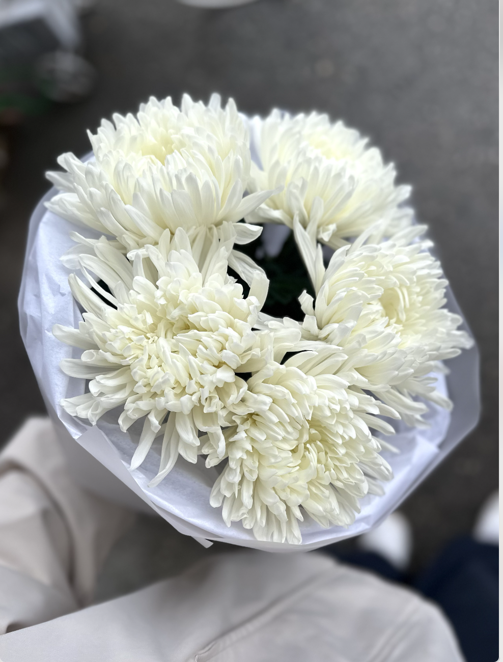 Снимок экрана 2025-11-11 в 22.42.02 Букет Сказочная Страна — изображение 1