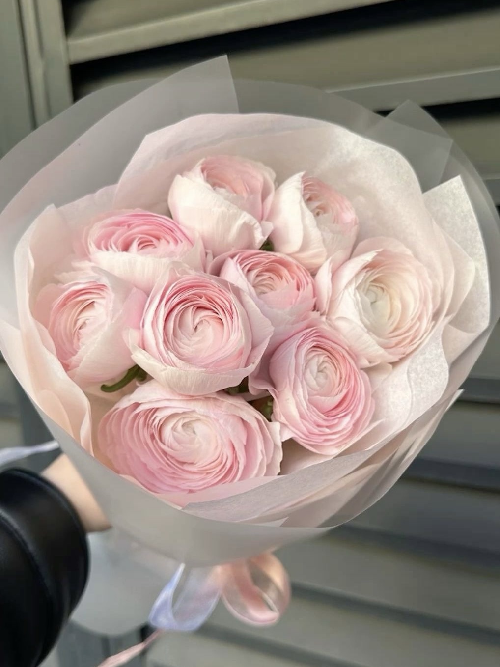 img_4304 Букет из 9 нежных ранункулюсов — изображение 1