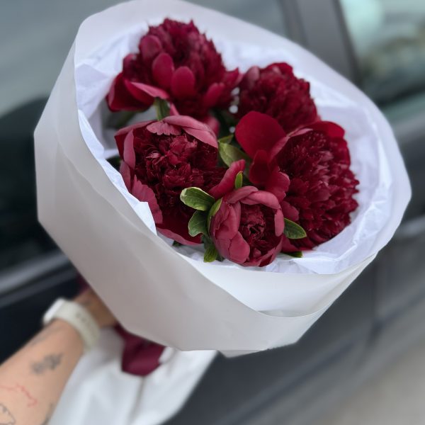 Букет из 5 бордовых пионов